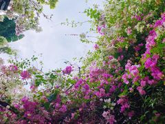 -深圳国际园林花卉博览园