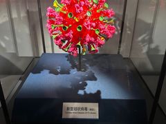 -四川大学博物馆