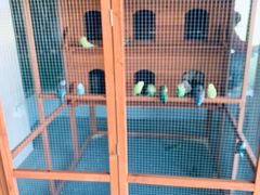 -宁波冰雪大世界(北仑区)