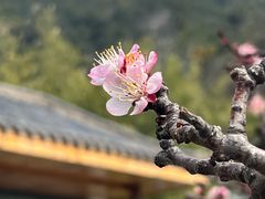 -瑜上·山食小馆