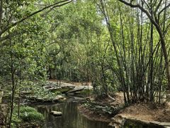 -大屏嶂森林公园