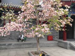 -天津大悲禅院