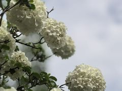 -苏州上方山国家森林公园