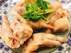 -九斤黄三黄鸡专卖店