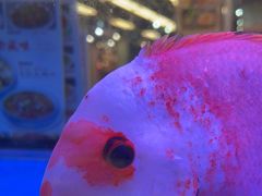 -新辉港式茶餐厅(北栅店)