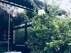 -三嚥阁 La Villa Restaurant