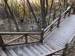 -大岭沟猕猴桃谷风景区