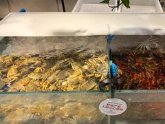 -川骄海鲜自助(亚运村店)