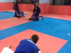 -金翼跆拳道巴西柔术拳击格斗学院