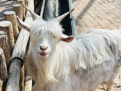 -水上乐园·欢乐世界