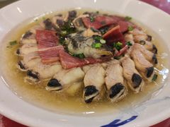 -同济大酒店(绿宝广场店)
