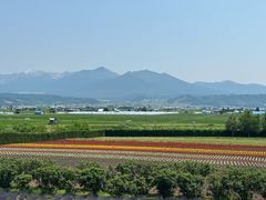 -富田农场