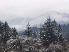 -硗碛藏寨·神木垒景区