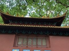-普陀山风景名胜区-法雨禅寺