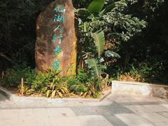 -深圳仙湖植物园