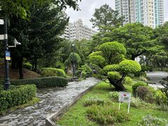 -九龙寨城公园