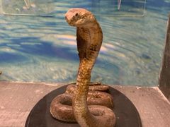 -下渚湖国家湿地公园科普馆