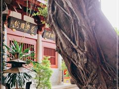 -叩齿古寺