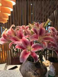 -花隐瑜伽·普拉提·红绳