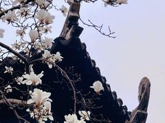 -耦园