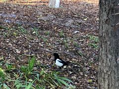 -奥林匹克森林公园南门-停车场