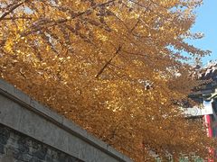 -长安寺