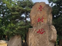 -鲁山国家森林公园