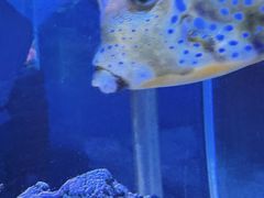 -太平洋海底世界