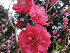 -桃花涧