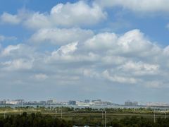 -春花秋色城市公园