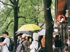 -茶颜悦色(岳麓山顶店)