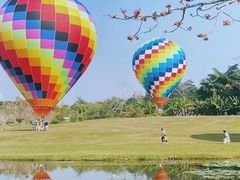 -中国科学院西双版纳热带植物园