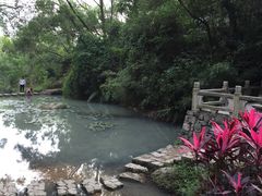 -石溪公园