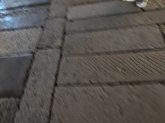 -狮王府淮扬菜(夫子庙老门东店)