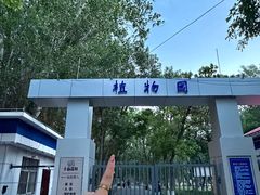 -十亩森林