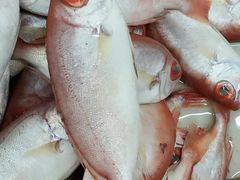 -鸿港海鲜批发市场