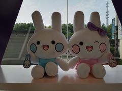 -GANSO元祖食品(沪青平店)