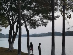 -松山湖风景区松湖烟雨