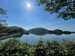 -长沙黑麋峰国家森林公园