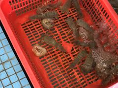 -田源农家饭店·窑鸡王·海鲜(东部湾·融创店)