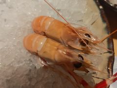 -贵木日本料理·铁板烧(新地假日广场店)