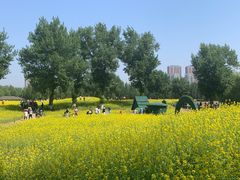 -长白岛森林公园