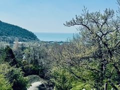 -青岛崂山太清宫