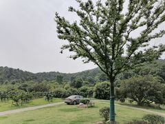 -龙寺生态园