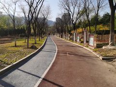 -滨河世纪广场公园