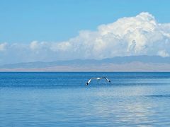 -青海湖国家重点风景名胜区
