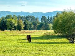 -北极村旅游风景区
