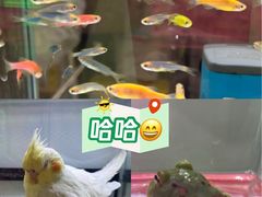 -鹏欣水游城