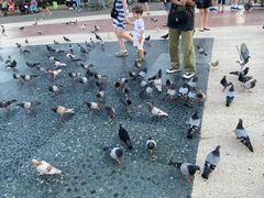-加泰罗尼亚广场