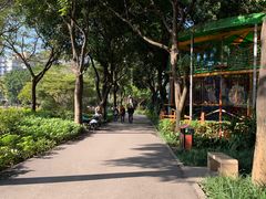 -晓港公园